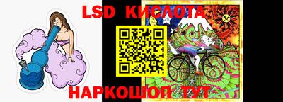 бошки Кимры