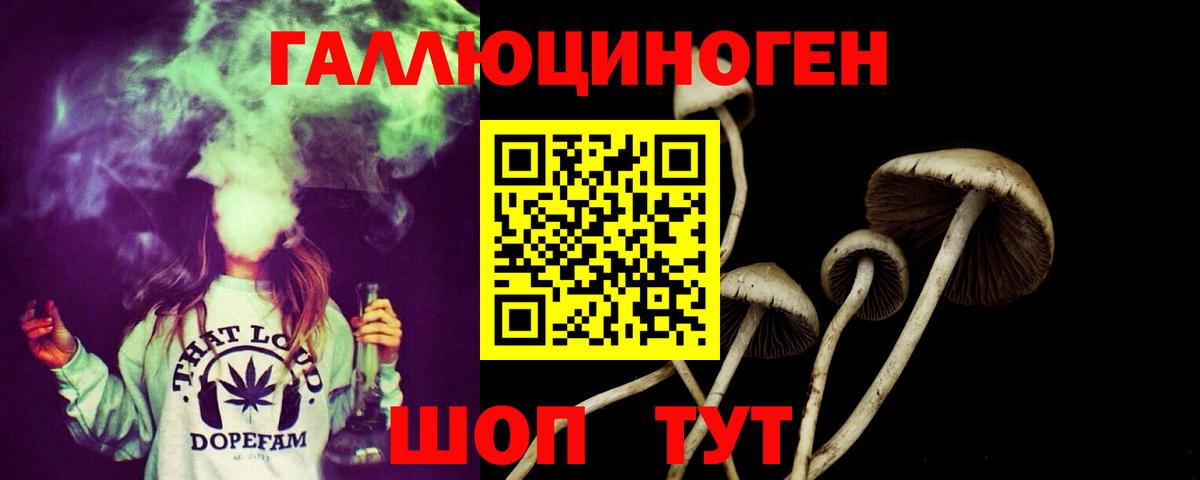 Королёв  дарнет шоп  Вход с VPN  Псилоцибиновые грибы мицелий 