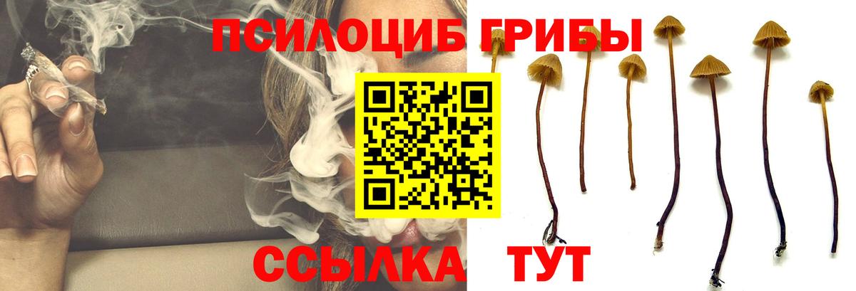 Галлюциногенные грибы GOLDEN TEACHER Королёв